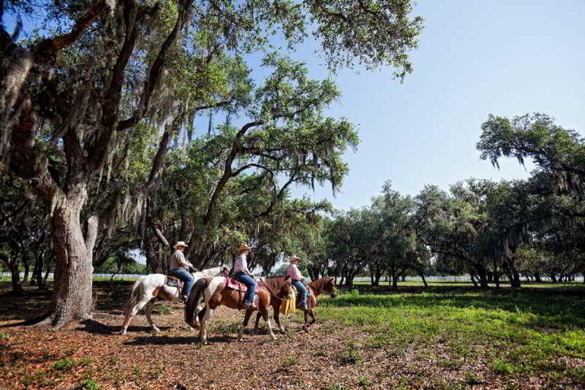 Westgate River Ranch Resort & Rodeo Esterno foto